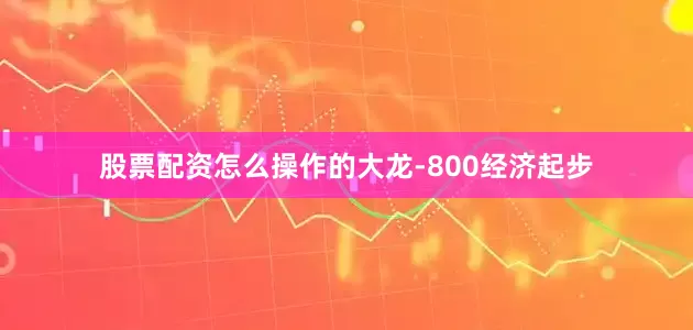 股票配资怎么操作的大龙-800经济起步