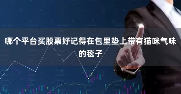 哪个平台买股票好记得在包里垫上带有猫咪气味的毯子