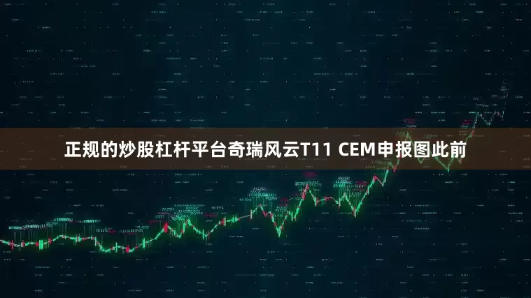 正规的炒股杠杆平台奇瑞风云T11 CEM申报图此前