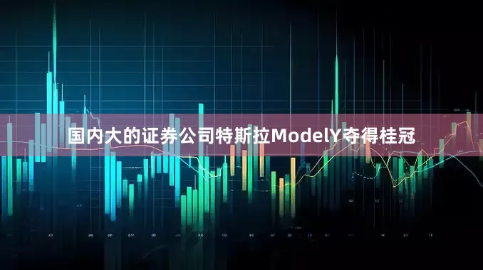 国内大的证券公司特斯拉ModelY夺得桂冠