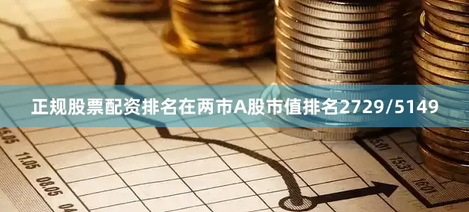 正规股票配资排名在两市A股市值排名2729/5149